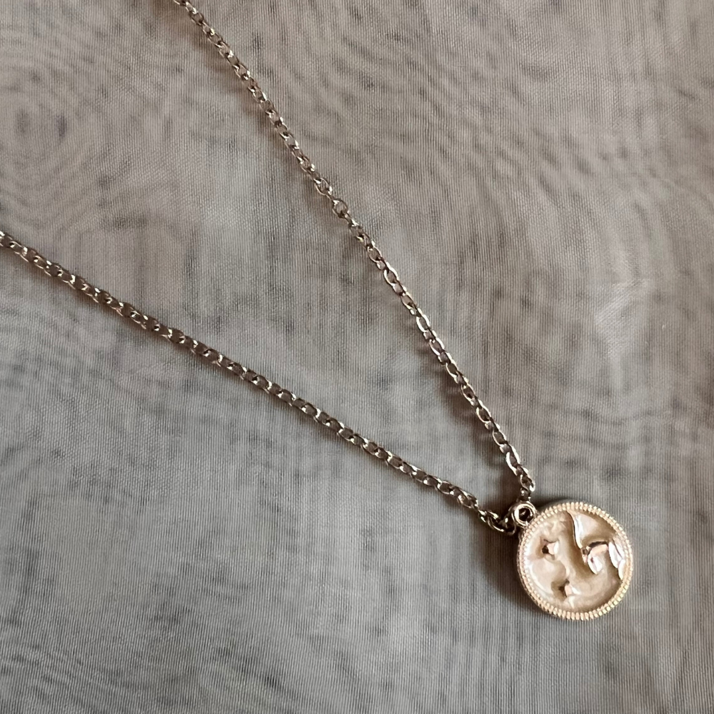 Zodiac Signs Chain - Silver