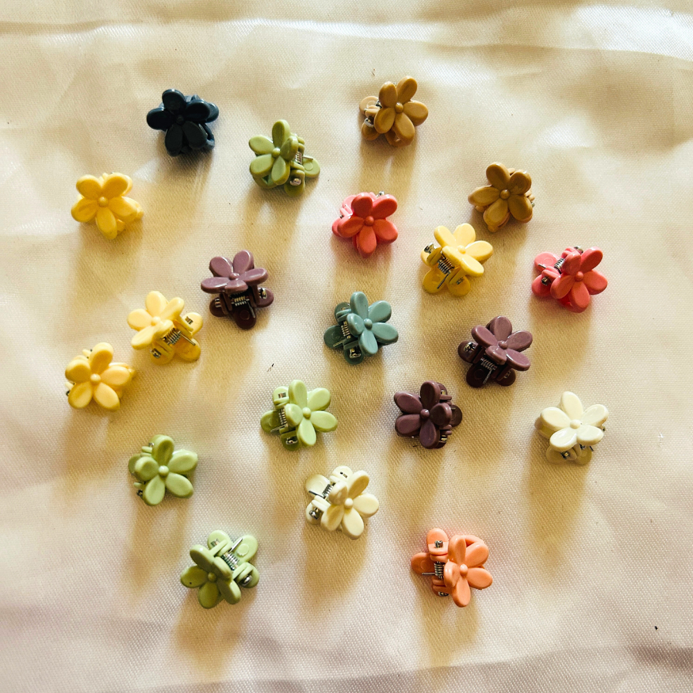 Mini Claw Clips - Set of 10 @ Rs.100