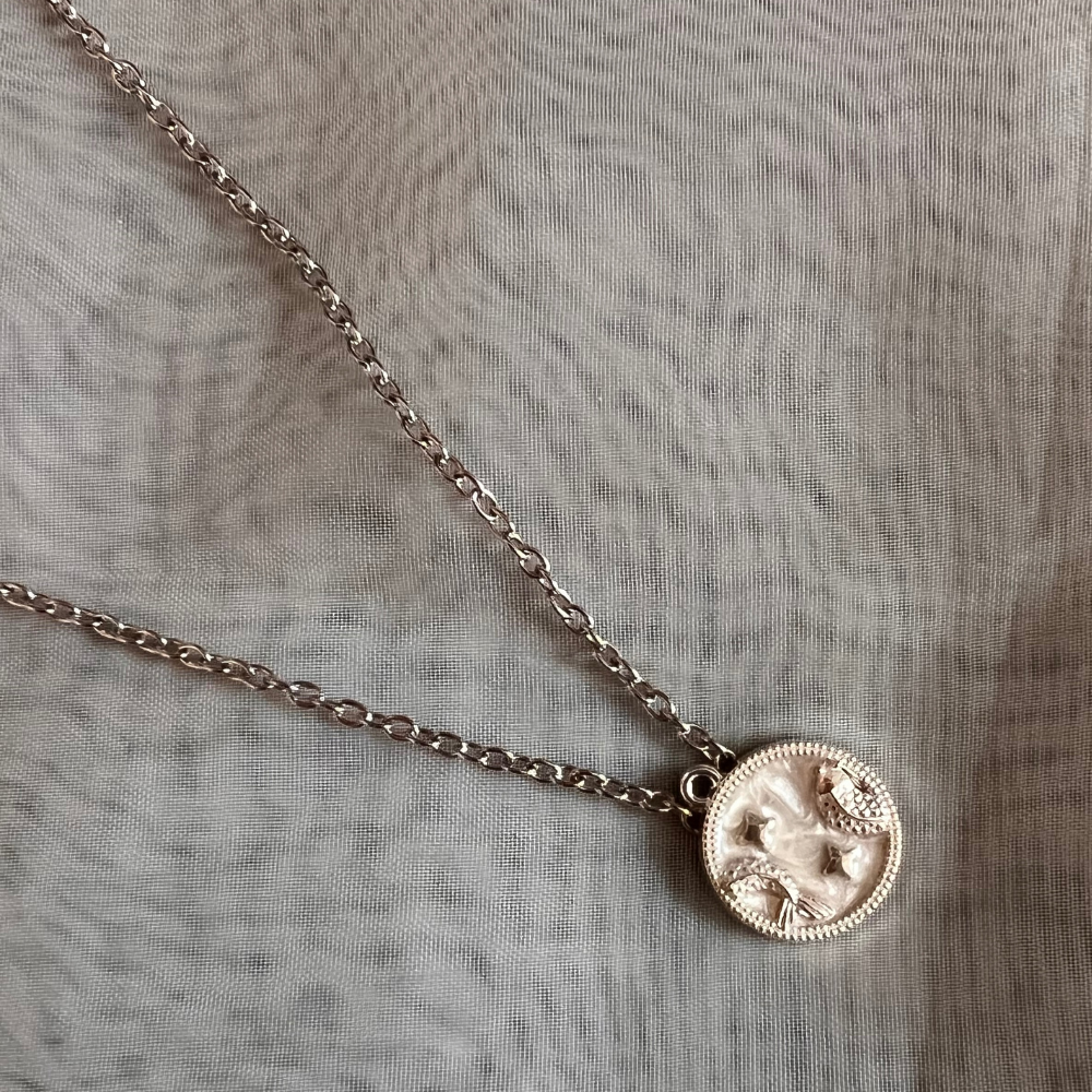 Zodiac Signs Chain - Silver
