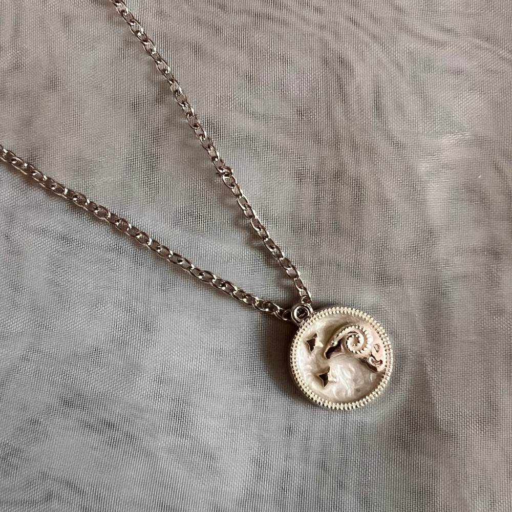Zodiac Signs Chain - Silver