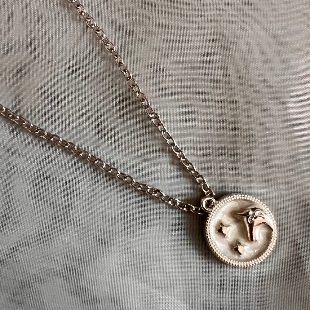 Zodiac Signs Chain - Silver