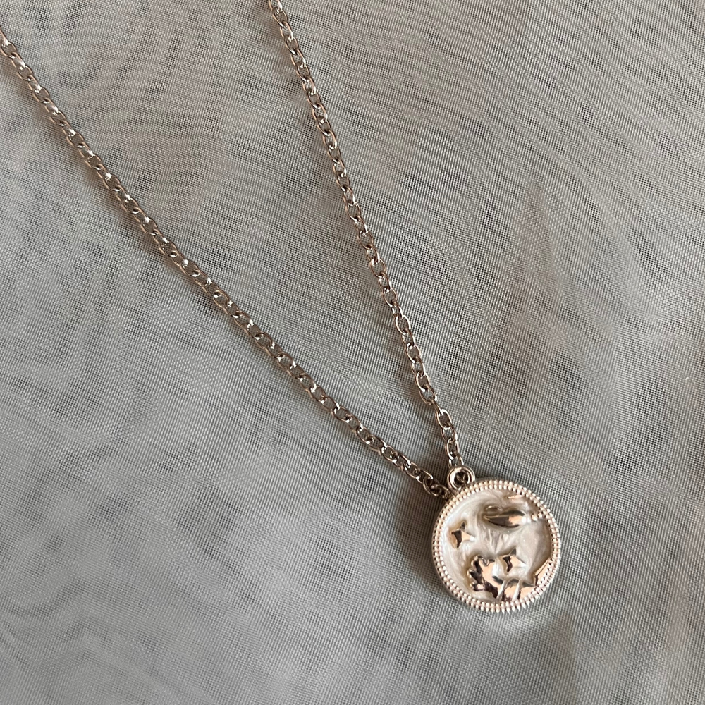 Zodiac Signs Chain - Silver